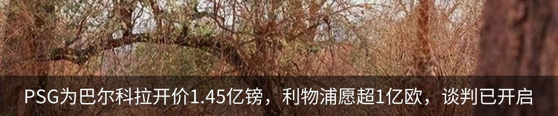 资讯中心